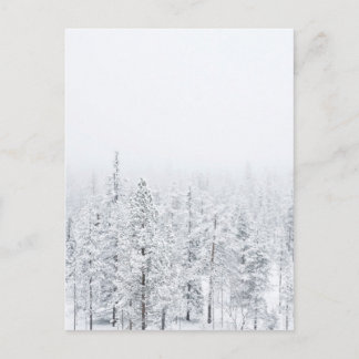 Schneewald Postkarte