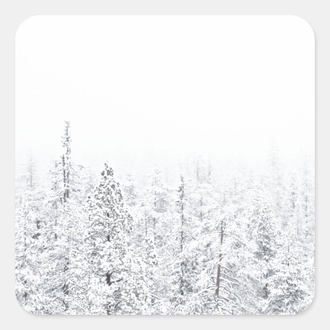 Schneewald Quadratischer Aufkleber (Vorderseite)