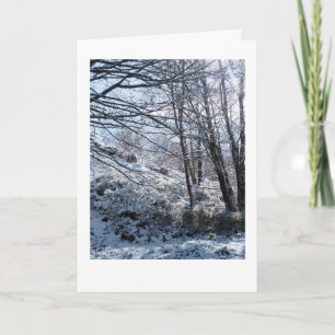 Schneewald Weihnachten Karte