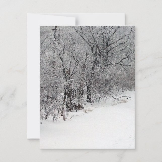 Schneewaldeinladung Einladung (Vorderseite)