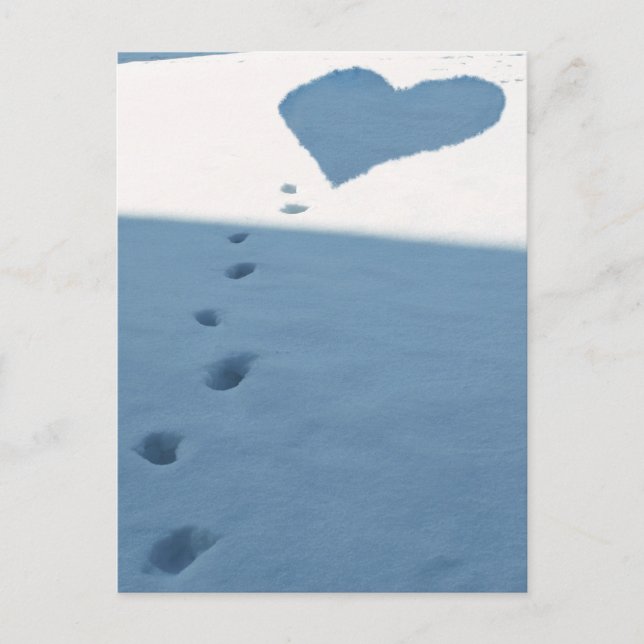 Schneewanderungen Postkarte (Vorderseite)