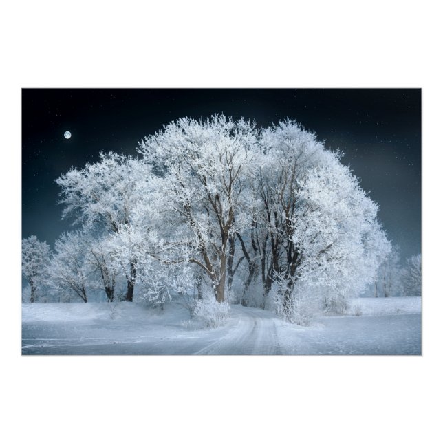 Schneeweg durch Mattierte Bäume Poster (Vorderseite)
