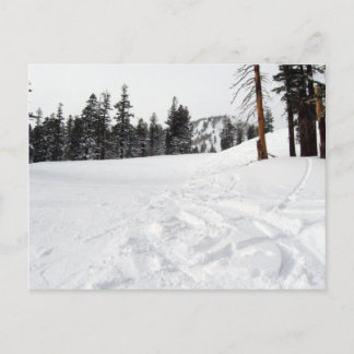 Schneewege Ski & Snowboard Postkarte