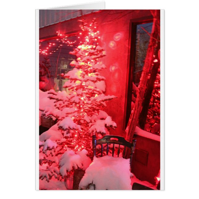 Schneeweihnachtsleuchten (Vorne)