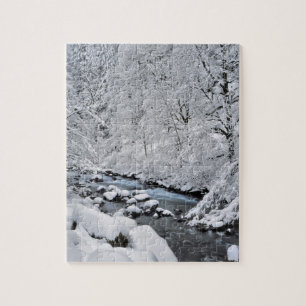 Schneeweißer Bach landschaftlich, Oregon