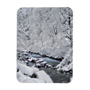 Schneeweißer Bach landschaftlich, Oregon Magnet