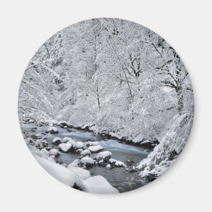 Schneeweißer Bach landschaftlich, Oregon Magnet