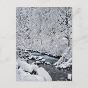 Schneeweißer Bach landschaftlich, Oregon Postkarte