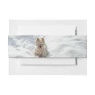 Schneeweißwestie Foto Einladung Bauchband Einladungsbanderole