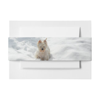 Schneeweißwestie Foto Einladung Bauchband Einladungsbanderole