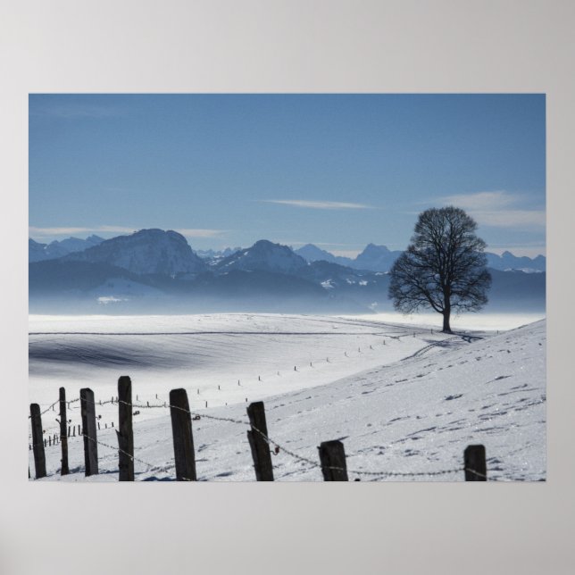 Schneewinterland Landschaft Foto Poster (Vorne)