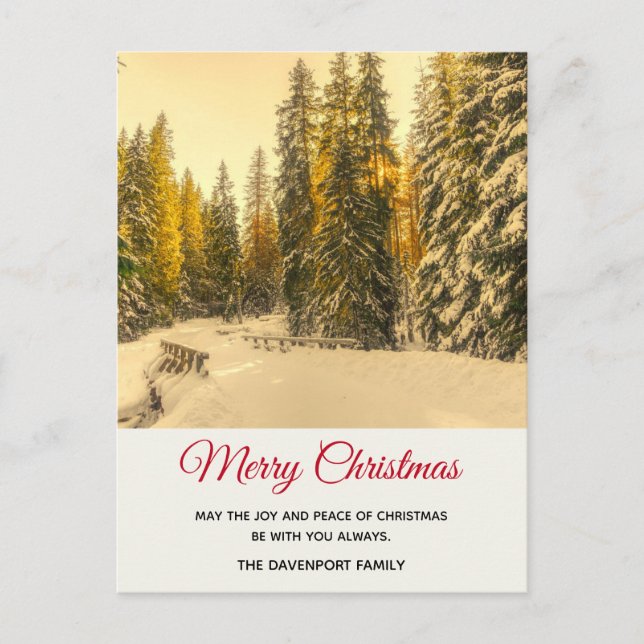 Schneewinterweg mit Pinienbäumen Weihnachten Postkarte (Vorderseite)