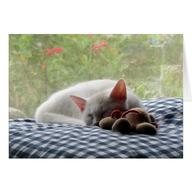 Schneewittchen (Vorderseite (Horizontal))