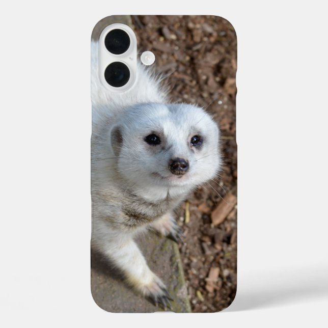 Schneewittchen-Erdmännchen, iPhone 16 Plus Hülle (Rückseite)