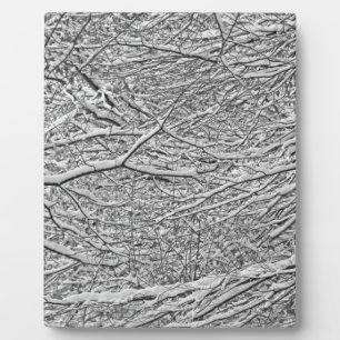 Schneezweige Fotoplatte