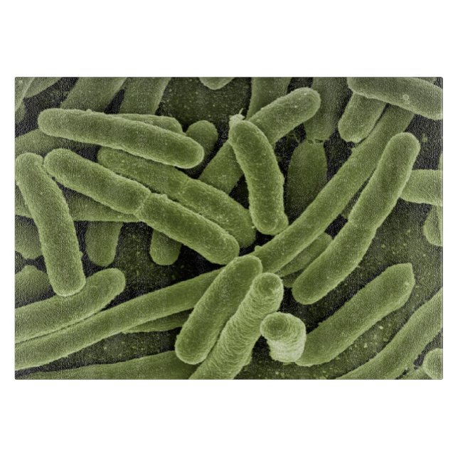 Schneidebrett der Mikroben-Hoch-Res (Vorderseite)