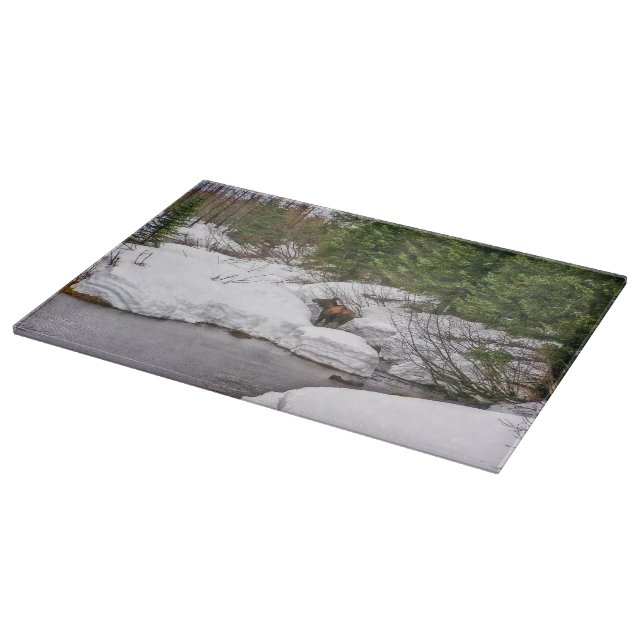 Schneidebrett-Glaselch-wild lebende Tiere Schneidebrett (Ecke)