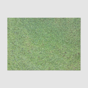 Schneiden Sie Gras-Rasen Seidenpapier