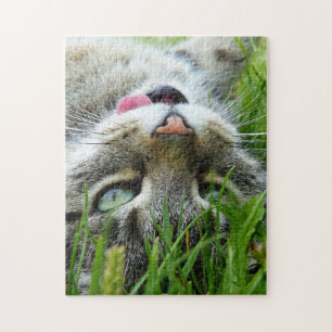 Schneiden Sie Katze puzzels