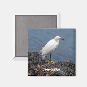 Schneiereiher Magnet