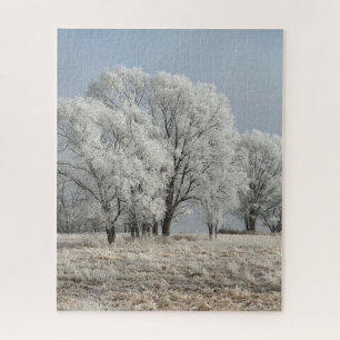 Schneiger Iowa Morgen