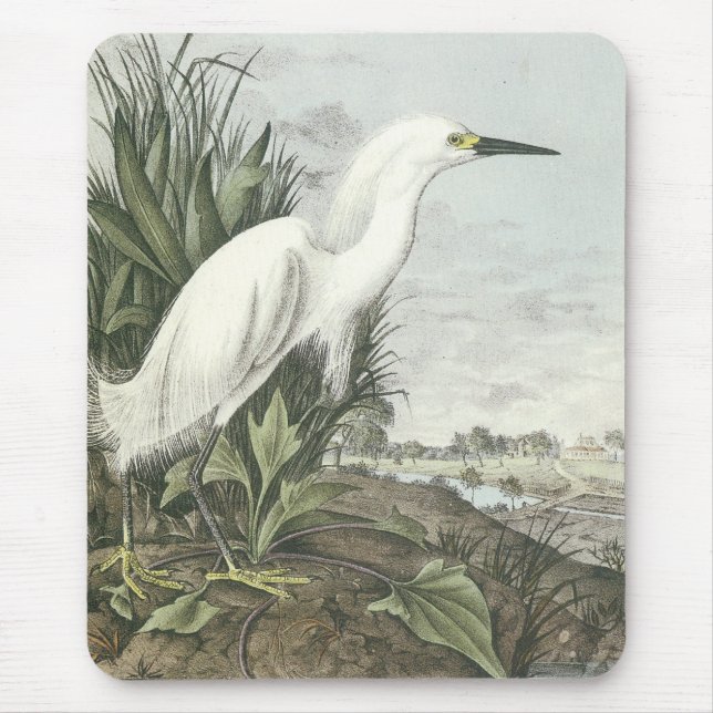 Schneireiher Mousepad (Vorne)
