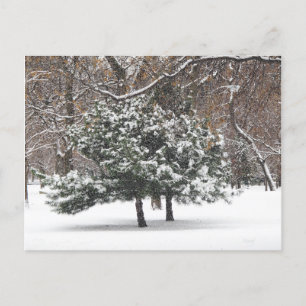 schneit feiertagspostkarte