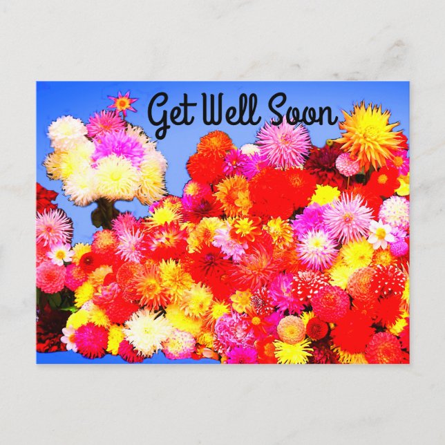 Schnell erhalten Sie verschiedene Dahlias #2-2 Pos Postkarte (Vorderseite)
