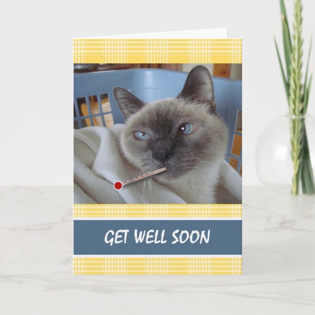 Schnell gut, Katzenkatze, reine Erholung Karte (Vorderseite)