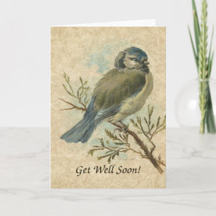 Schnell gut, Vintager Bluetit Bird Karte