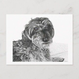 Schnell - leere Postkarte