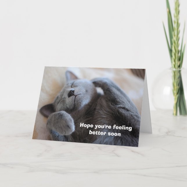 Schnell Niedliche Cat Card Karte (Vorderseite)