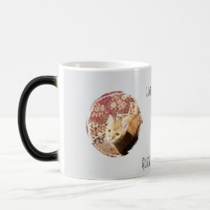 Schnell über dich urteilend, Katzenfoto, Humor Verwandlungstasse