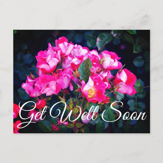 Schnell und ohne Umschweifen Rose Nr. 1 Postkarte (Vorderseite)