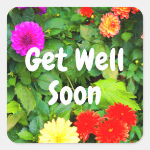 Schnell verschiedene Dahlias #1-1 Stickers
