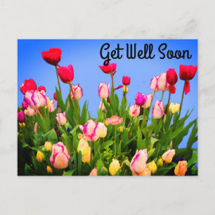 Schnell verschiedene Tulips #3 Postkarte