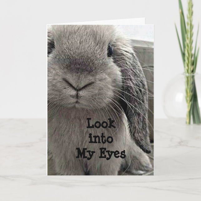 SCHNELLE BUNNY HOFFNUNG, ZU SAGEN GLÜCKLICH GEBURT KARTE (Vorderseite)