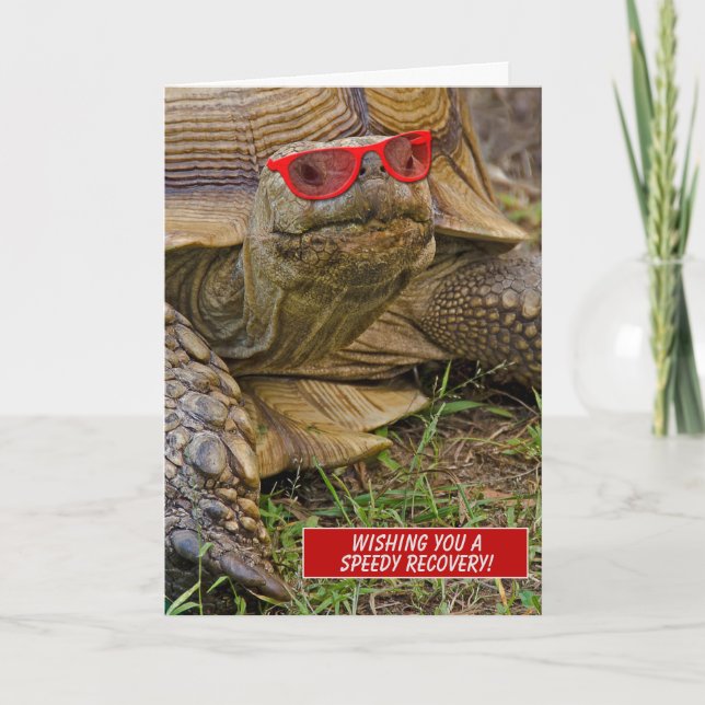 Schnelle Erholung alte Schildkröte in roter Sonnen Karte (Vorderseite)