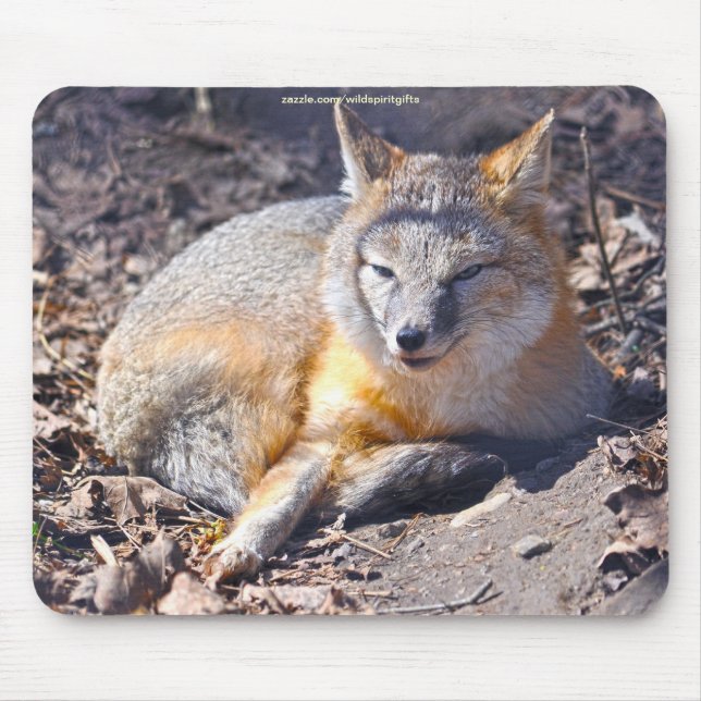 Schnelle Foxenruhe in der Sonnenschein Wildlife Mo Mousepad (Vorne)