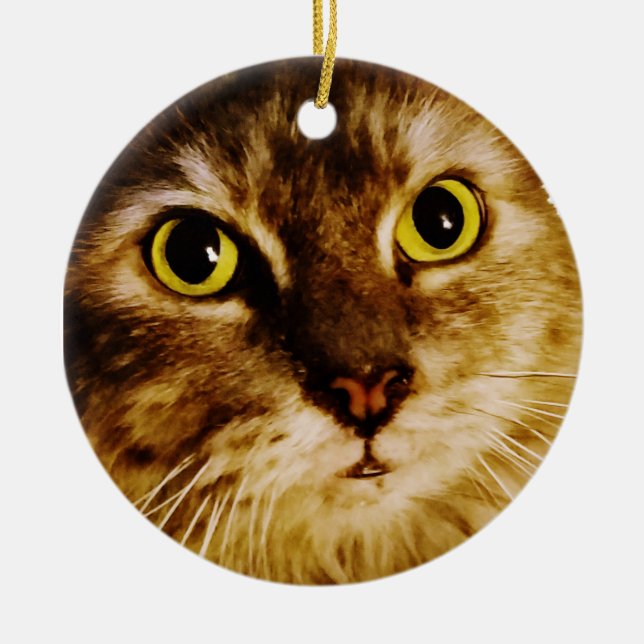 SCHNELLE GESCHWINDIGKEIT KERAMIK ORNAMENT (Vorne)