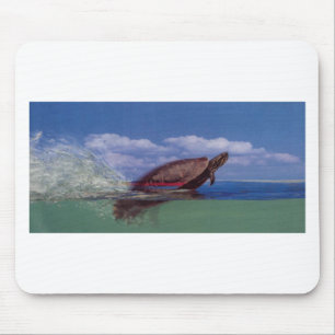 schnelle Schildkröte Mousepad