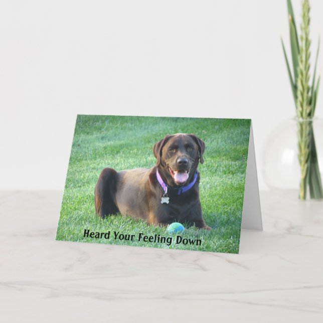 Schnelle Verbesserung für Labrador Retriever Grußk Karte (Vorderseite)