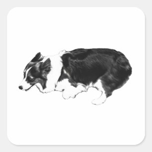 Schneller Corgi, Taschenlächeln Quadratischer Aufkleber