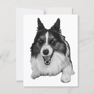 Schneller Hallo aus dem Stoop Postkarte