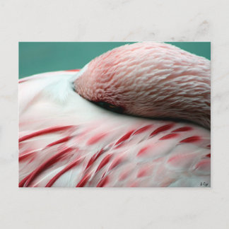 Schneller Schlaf Postkarte