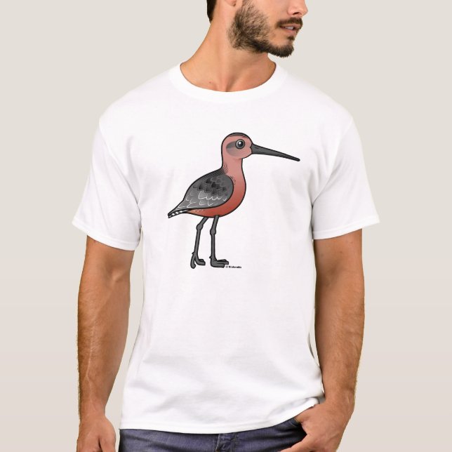 Schnepfe mit gestreiftem Schwanz T-Shirt (Vorderseite)