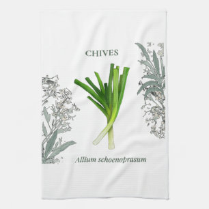 Schnittlauch — Allium schoenoprasum Geschirrtuch