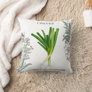 Schnittlauch — Allium schoenoprasum Kissen