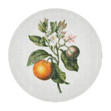 SCHNITTSTELLE : BITTERORANGE BLOSSOM