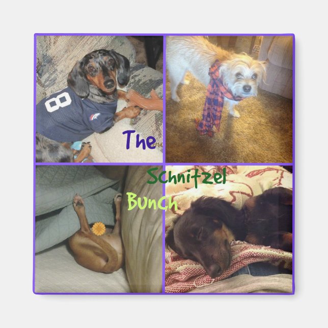 Schnitzel Bunch Magnet (Vorne)